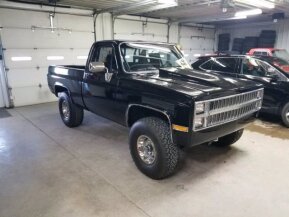 1983 Chevrolet C/K Truck for sale 101272959